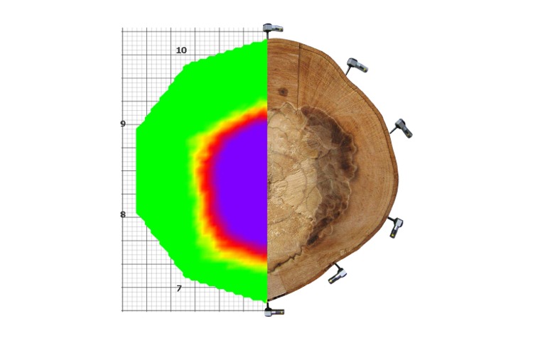 木材应力波测定仪,木材声波断层扫描系统,木材3D成像系统,木材应力波三维成像仪,木材缺陷检测,古建筑木结构检测,树木空洞检测,匈牙利Fakopp